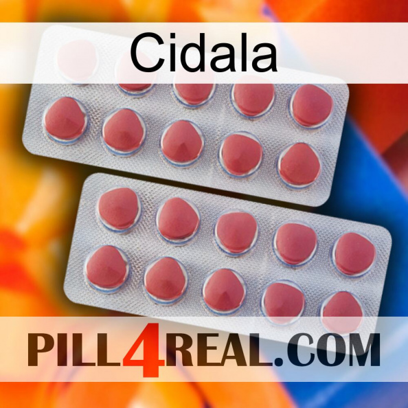 Cidala 19